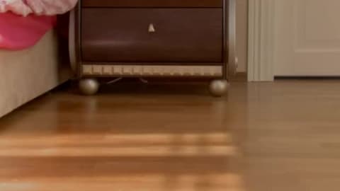 Un baise gros cul avec un sextoy une bite