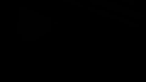 La maîtresse parfaite Anna Polina