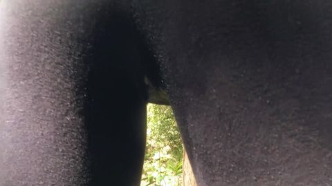 Ruenue en forêt d&rsquo;une plantureuse blonde
