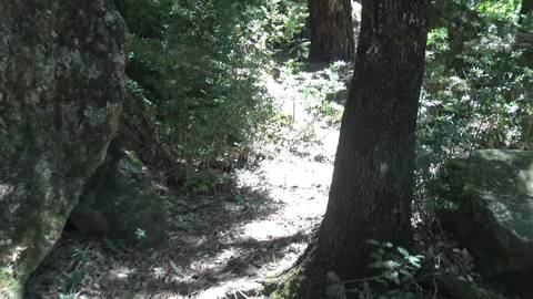 Seule, elle fait du Porno Amateur Français